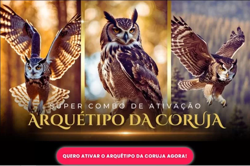 imagem de corujas mostrando como ativar o arquétipo da coruja.